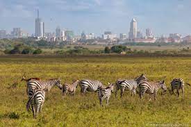 During the low season which starts from April to June, the agency will charge EAC and resident adults Sh2,000 to enter Nairobi National Park.